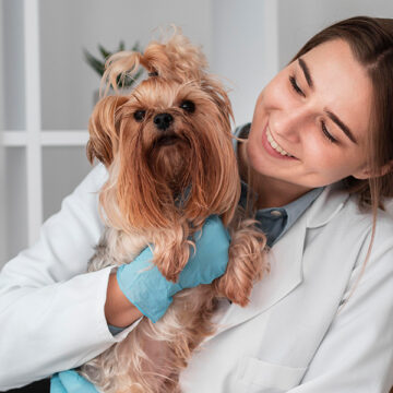 Your Pet’s Dental Health