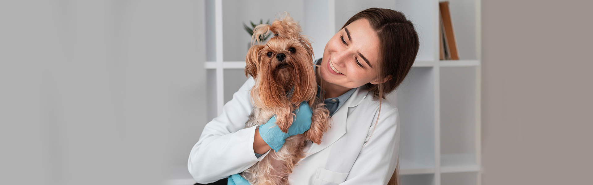 Your Pet’s Dental Health 
